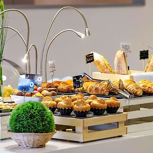Mercure Vaugirard Porte De Versailles צרפת